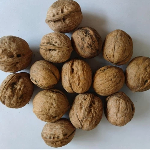Inshell Walnuts ออนไลน์